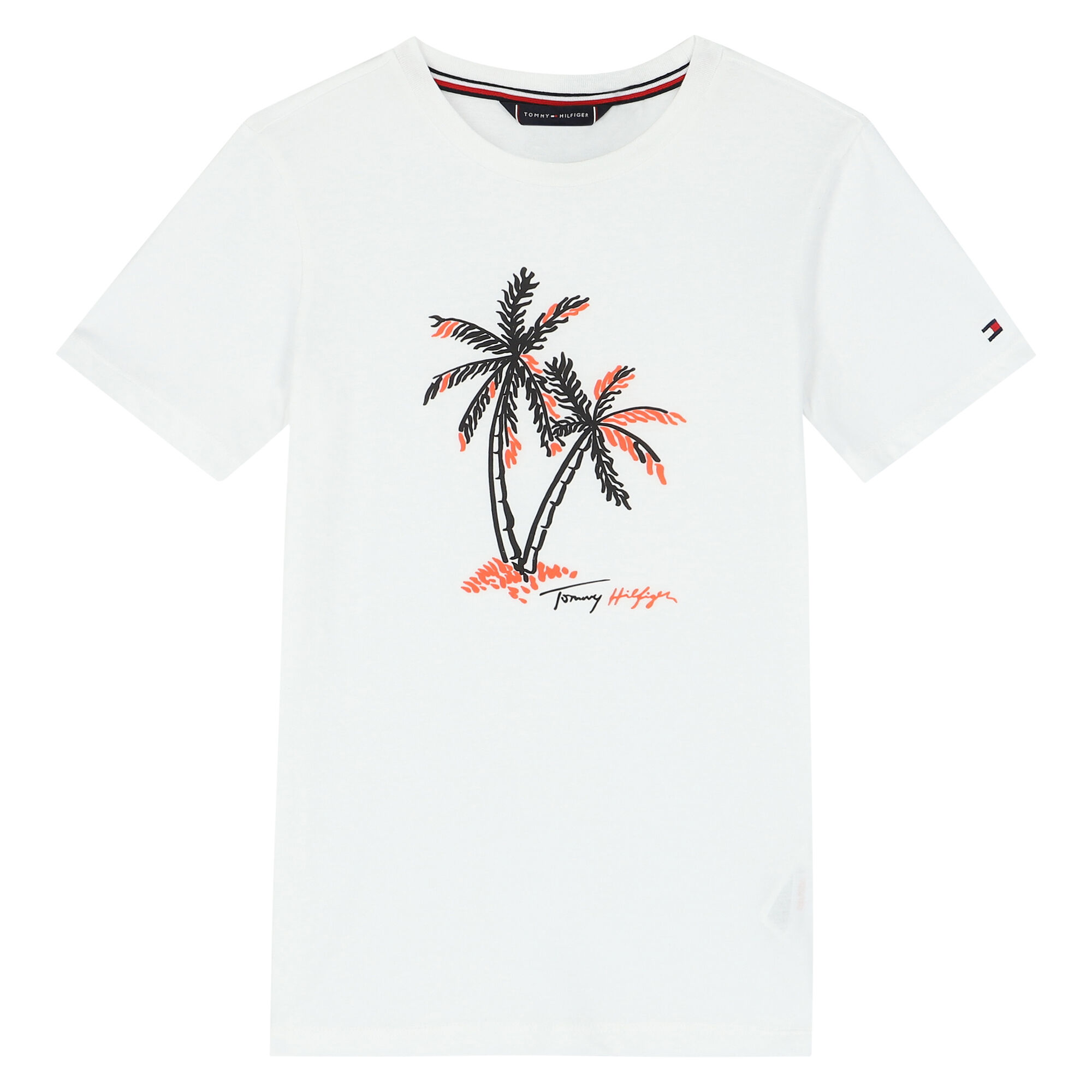 Junior tommy hilfiger t clearance shirts